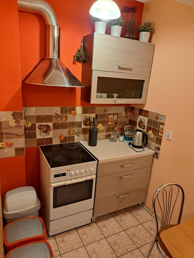 Wiking Apartman Szklarska Poręba Kültér fotó