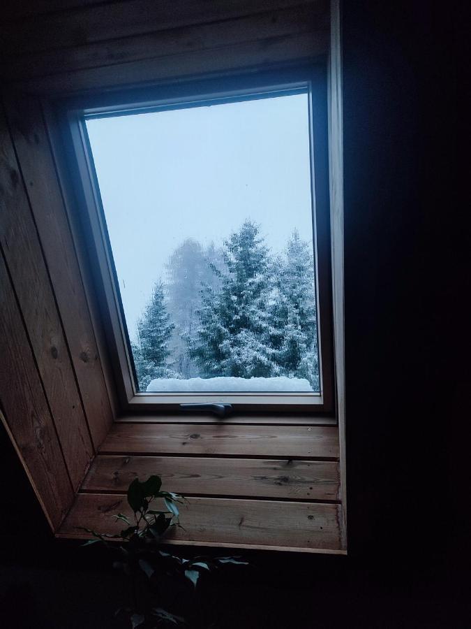 Wiking Apartman Szklarska Poręba Kültér fotó